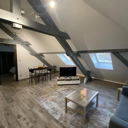 Au Pays Des Cigognes Apartment Colmar
