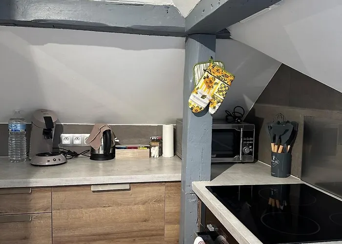 Lägenhet Au Pays Des Cigognes Colmar